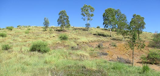 Expert opinion in the Queensland Land Court | Highlands Environmental