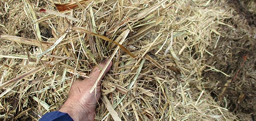Hay Mulch | Rehabilitation Materials | Highlands Environmental